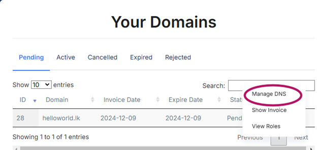 Manage DNS Options